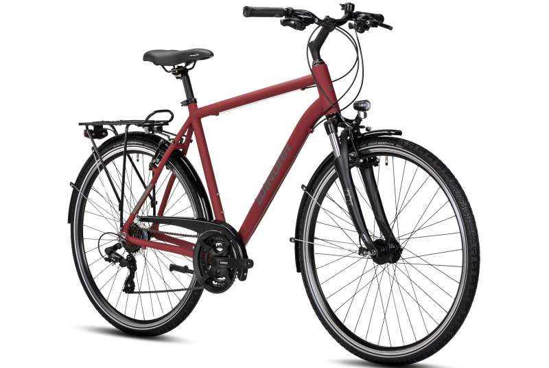 Bicicleta Winora Domingo 21 High 2025 - Imagen 2