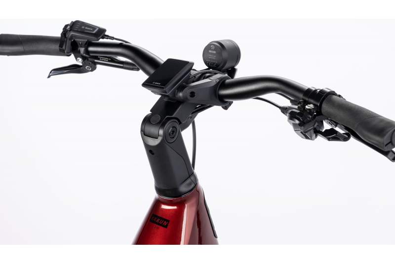 Bicicleta Winora Yakun X10 Low 2026 - Imagen 3